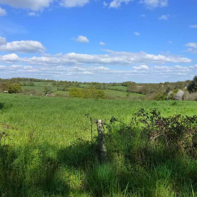 Chemin de Boireau