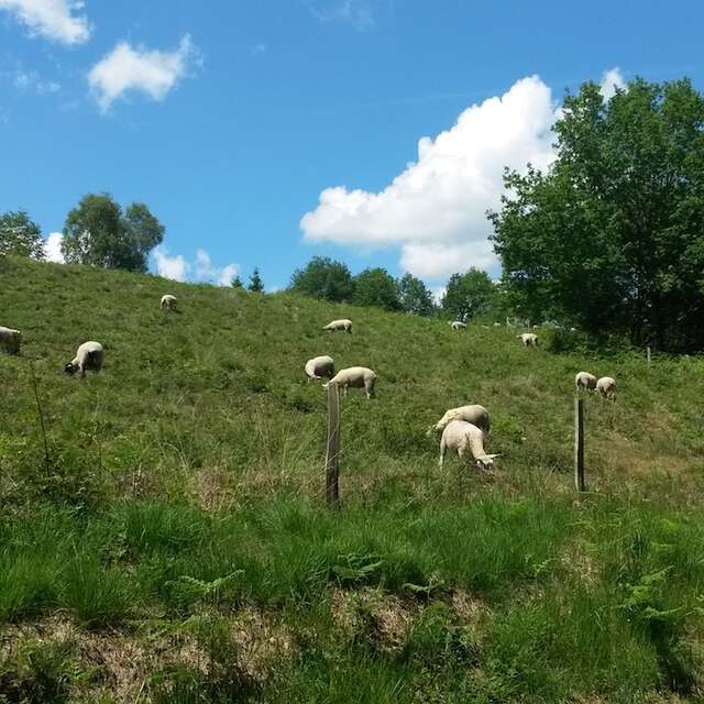 Sentier des bergères