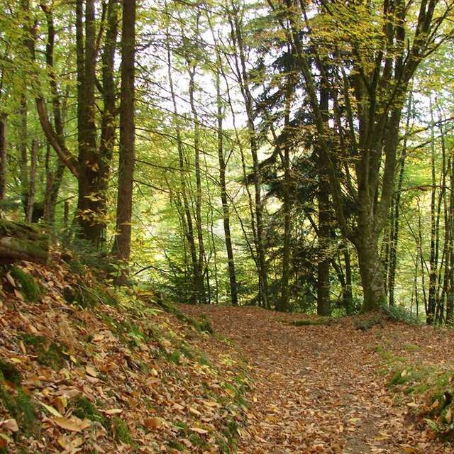 Sentier des carrières