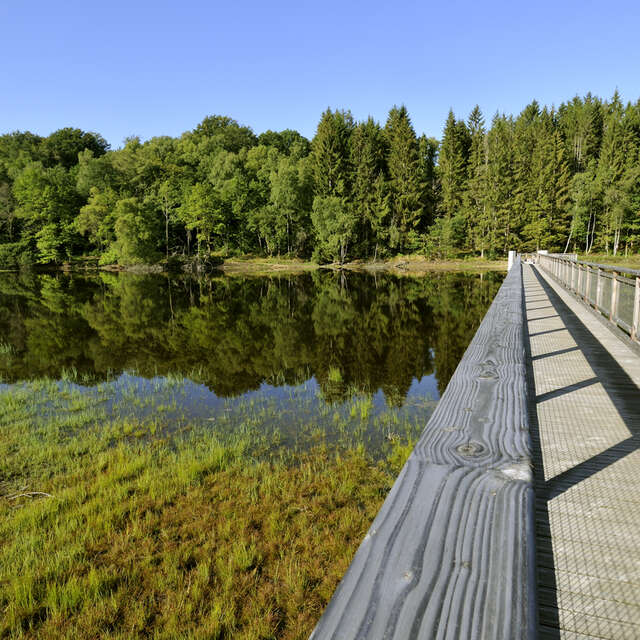 Sentier de rives du Lac de Vassivière