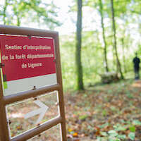 Parcours Explor Games® : Ligoure, une histoire de famille