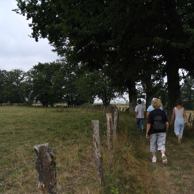 Liaison Flavignac - Les Cars