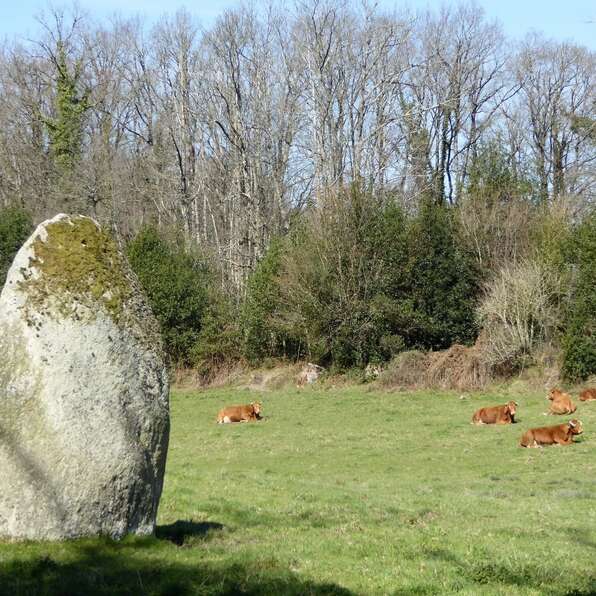 Menhir des Fichades