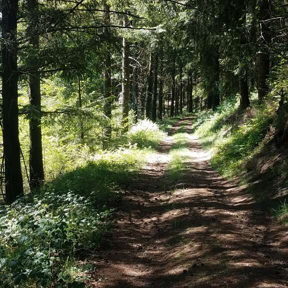 Le Mont Larron