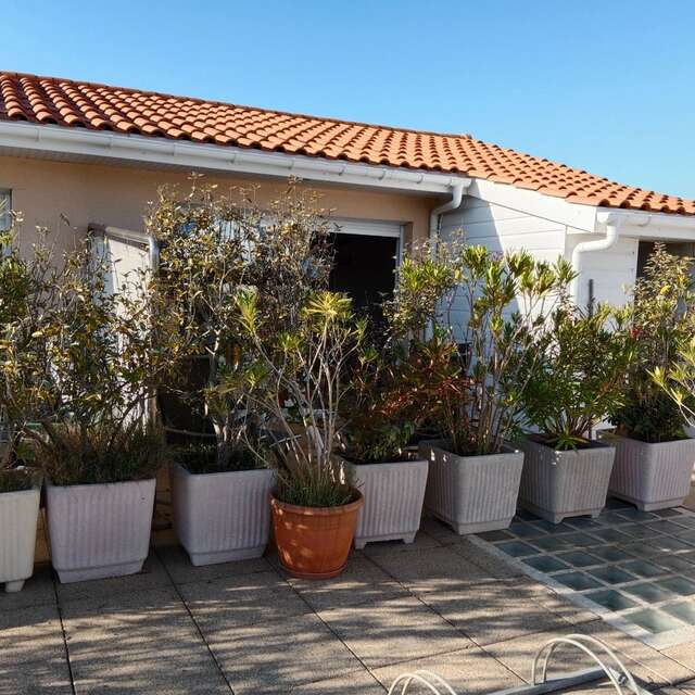 Appartement 4 MONTAUT