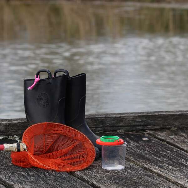 A la découverte de la mare à Terres d'Oiseaux