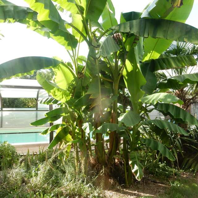 LE MOULIN DES MYRTILLES