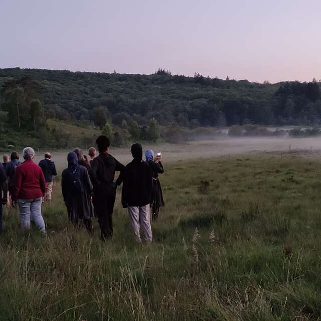 Sortie crépusculaire