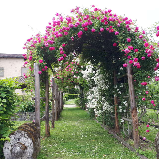 Jardin Jeanne d'Albret, d'inspiration médiévale
