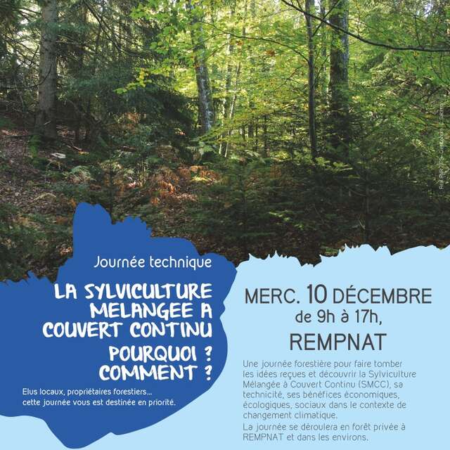 La Sylviculture mélangée à couvert continu : pourquoi ? comment ?