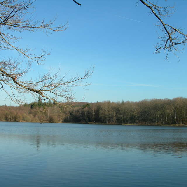 Etang de pêche 'Piquette' La Porcherie