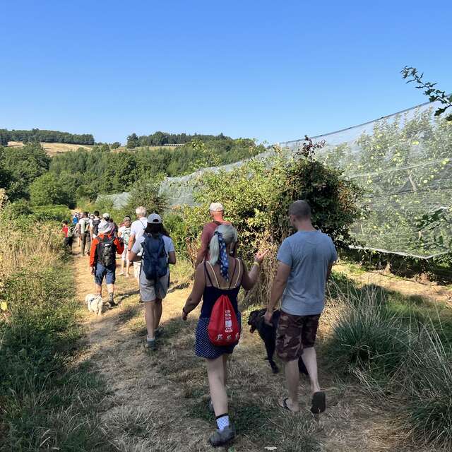 Route de la Pomme du Limousin - Visite verger 2025