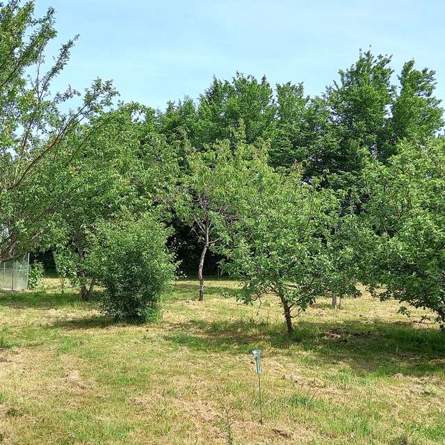 Quelque part sur la terre