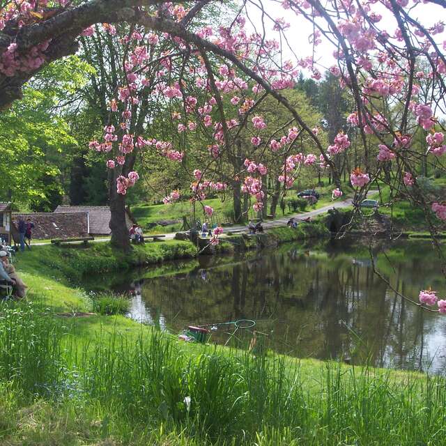Pisciculture du Domaine du Moulin Authier