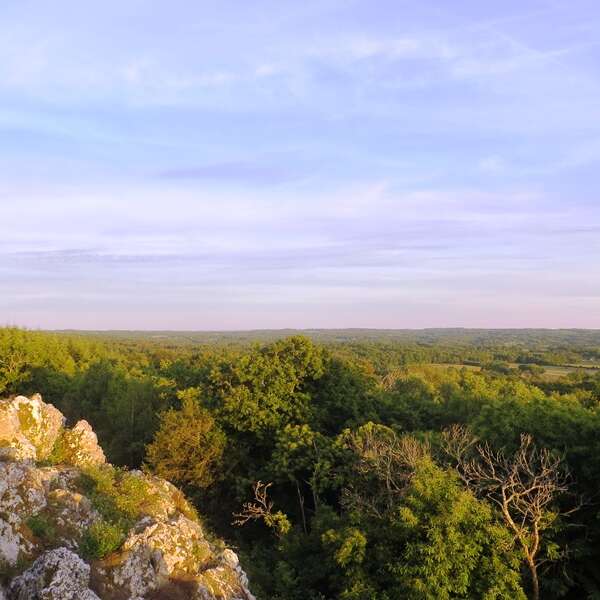 Les landes de la Butte de Frochet