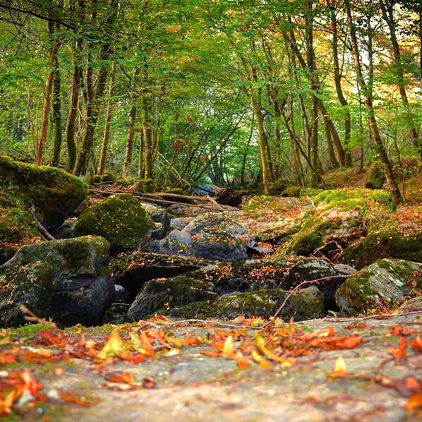 Les Rochers de l'Isop