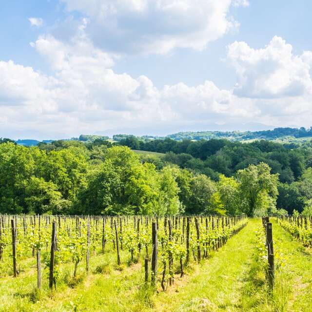 Saint-Faust - Vallée de la Juscle