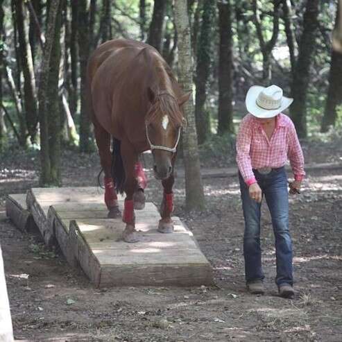 NAHANI RANCH Mountain Trail