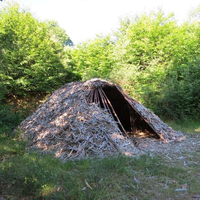 Cabane de feuillardiers de la forêt de Boubon