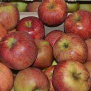 Fruits et légumes du Verger de Fougeras