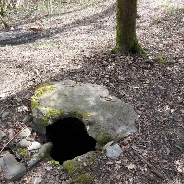 Fontaine Font Couvé à Champagnac la Rivière