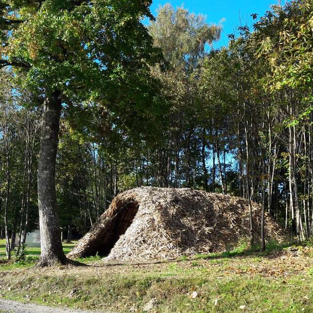Cabane de feuillardier à Masselièvre