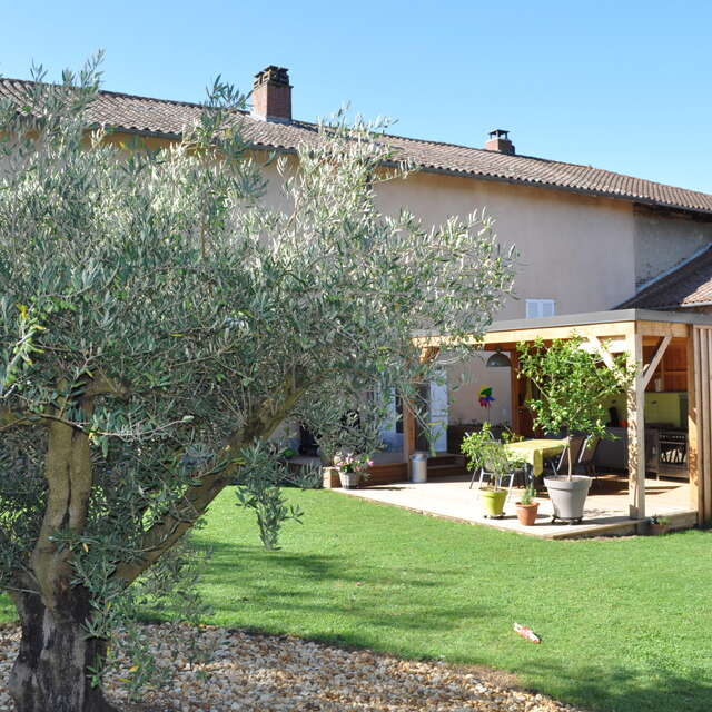 Les 3 oliviers - Appartement Picholine