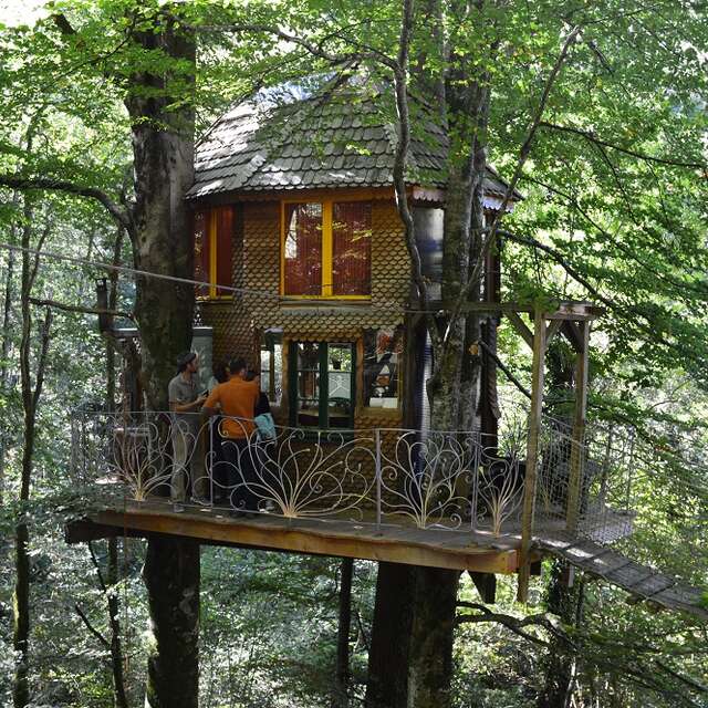 EcoSource Arboricole : La Mère