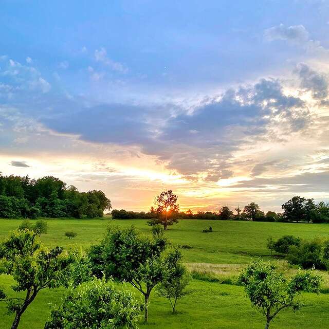 Château du Tirondet : Gîte La Réserve