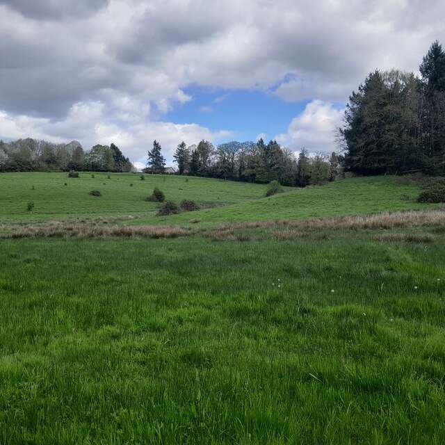 Vis ma vie de spécialiste des zones humides