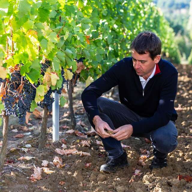 VIGNOBLES DUBARD