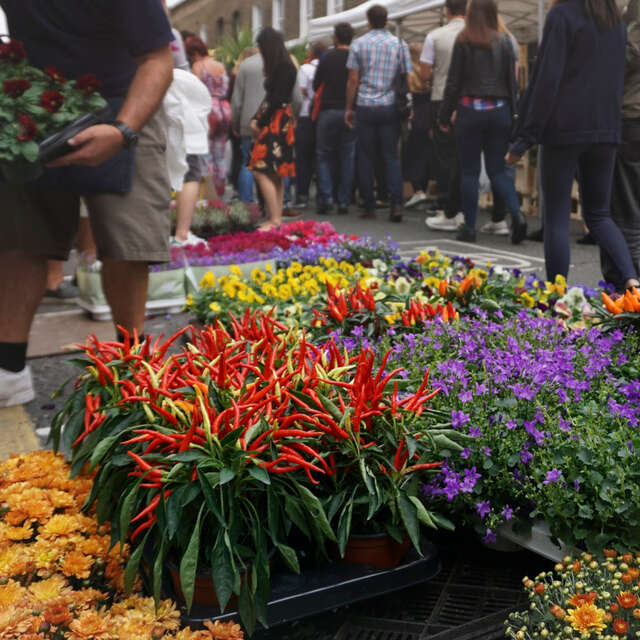 Marché de Printemps
