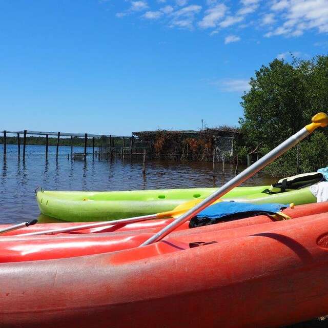 Annulé - Visite en Canoë d'une cabane en bois "tchanquée" sur l'étang d'Aureilhan (Sortie VIP)