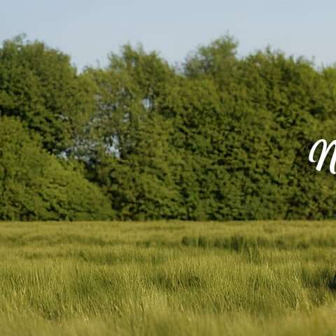 Thomas Marty - Nouveau Spectacle