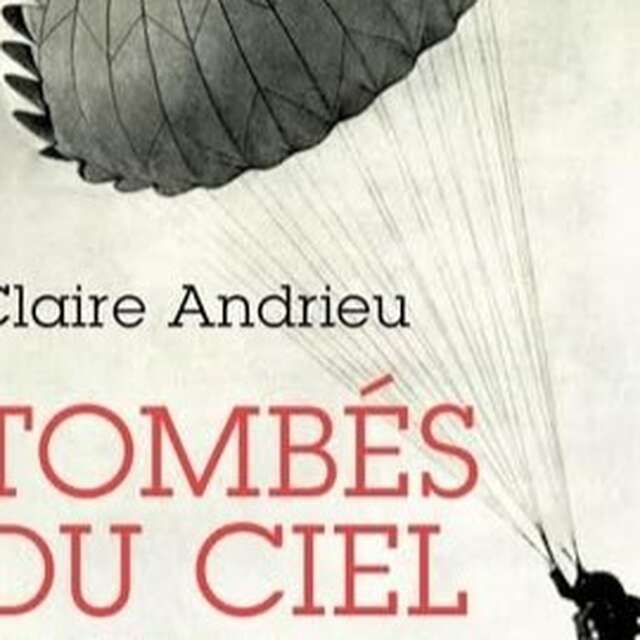 Tombés du ciel. Le sort des pilotes abattus en Europe, 1939-1945