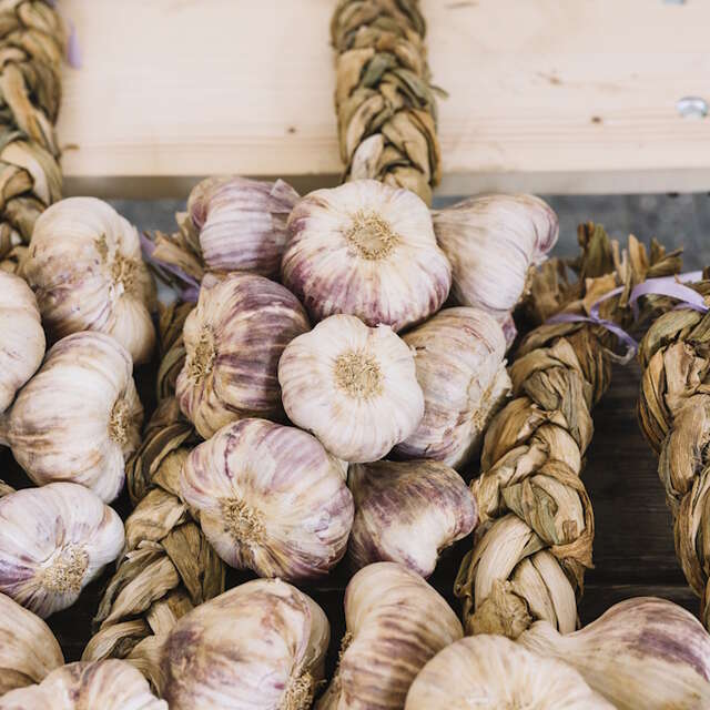Foire à l'ail et au melon