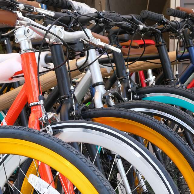 Brooks bikes