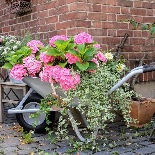 Vide jardin