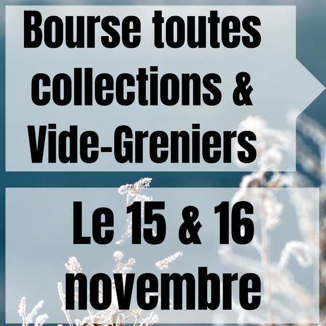 Vide Greniers, Bourse toutes collections.