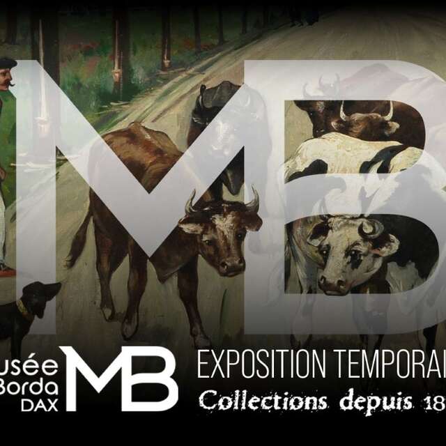 Musée de Borda et Site antique