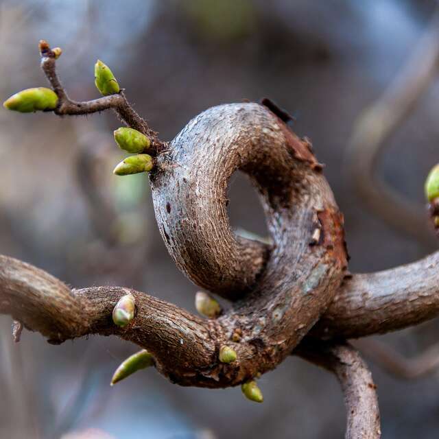 Méditation spéciale : équinoxe de printemps