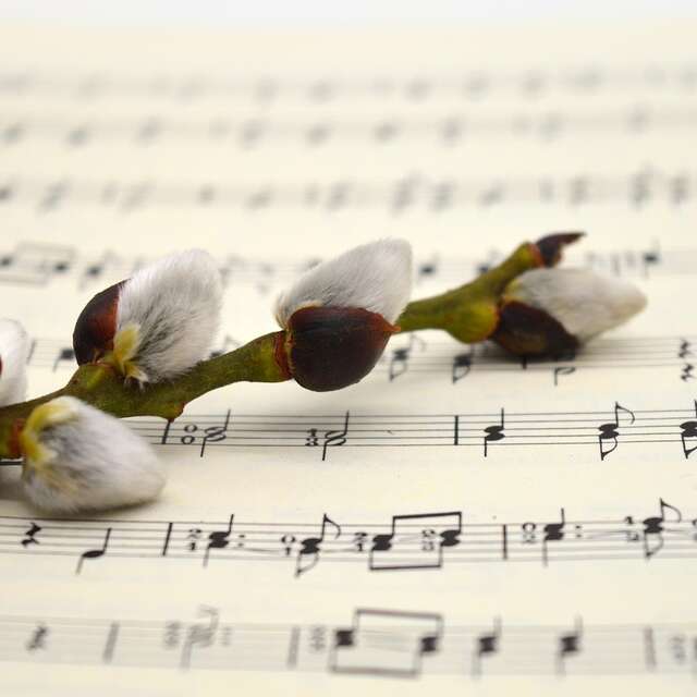 Spectacle : Swing Melodies