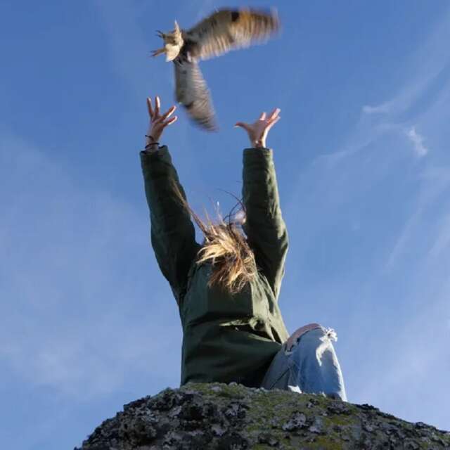 Cinéma Arévi : Animus Femina