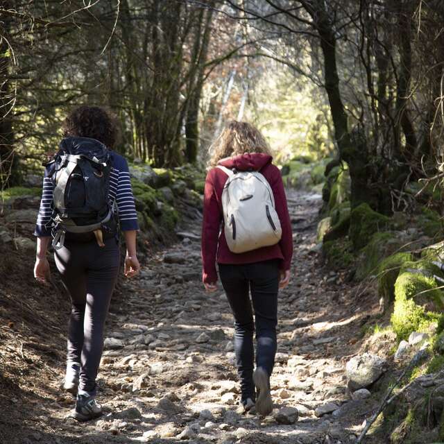 L'hivernal du lac : randonnée