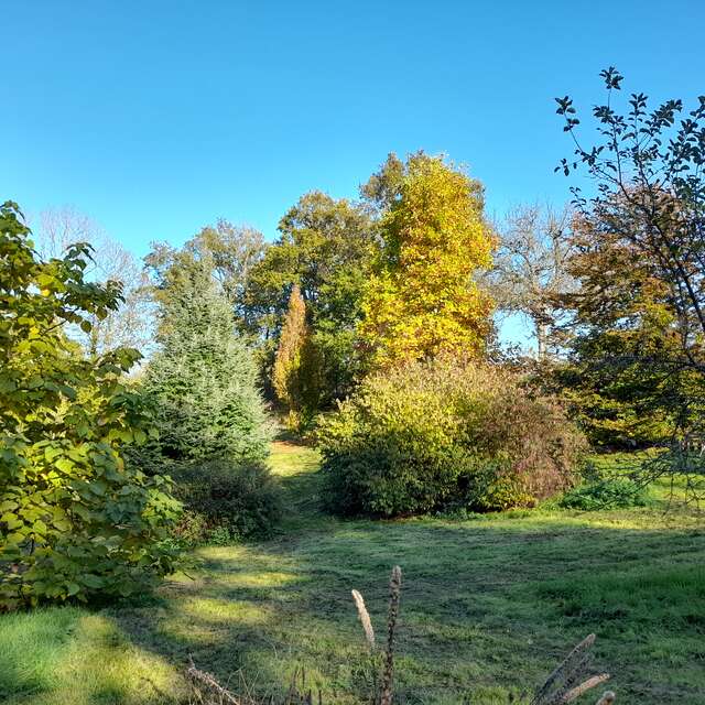 Arboretum du Lys