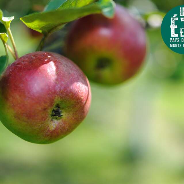 À la rencontre des producteurs - La pépinière Des racines pour demain