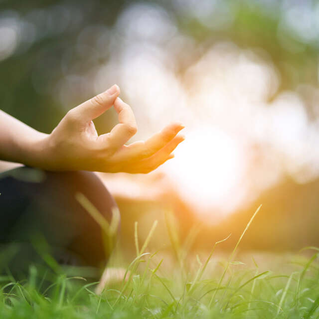 Cours de yoga