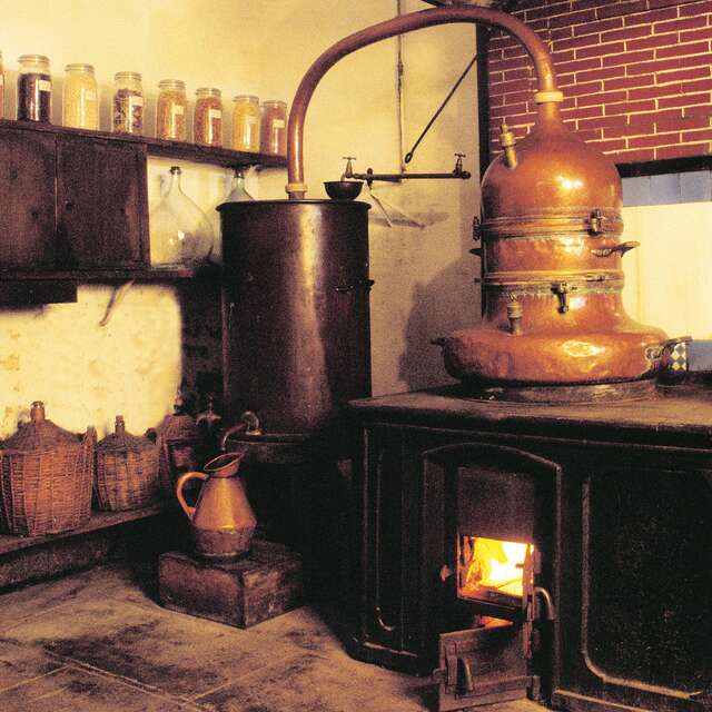 Ici, nos savoir-faire - Visite de la distillerie du centre - La Gauloise