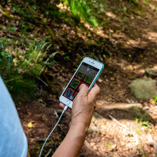 Parcours Explor Games® : Envol à l'étang de la Pouge
