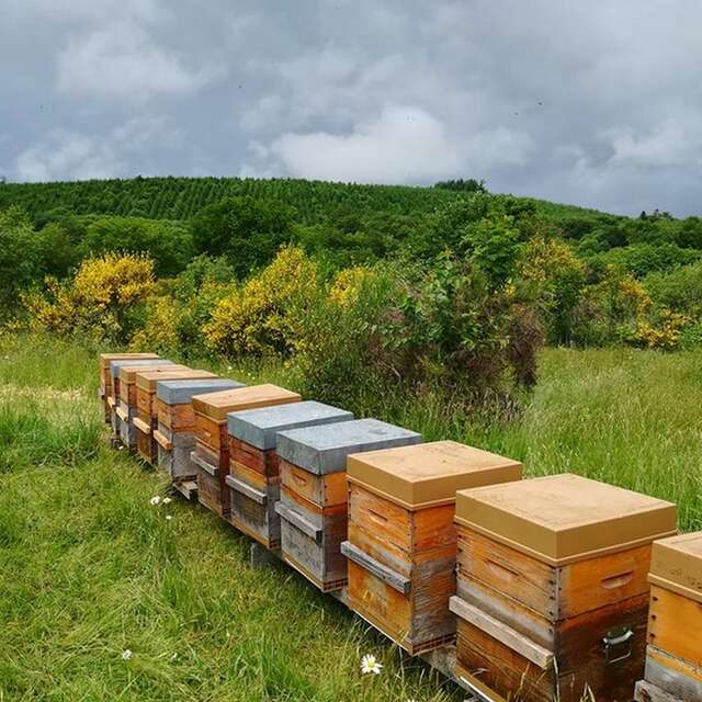 Les ruchers de la Courcelle